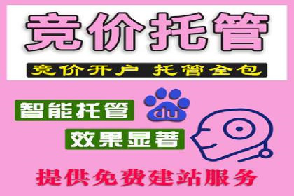 百度竞价广告投放全解析：成功案例揭秘